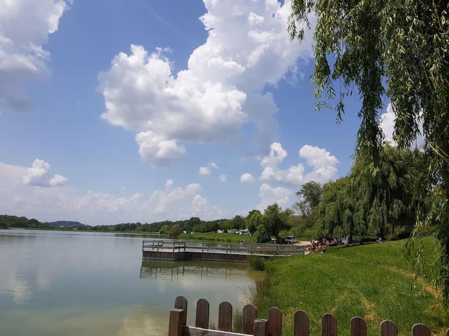Maison Spacieuse Face Aux Pyrenees Carla-Bayle エクステリア 写真
