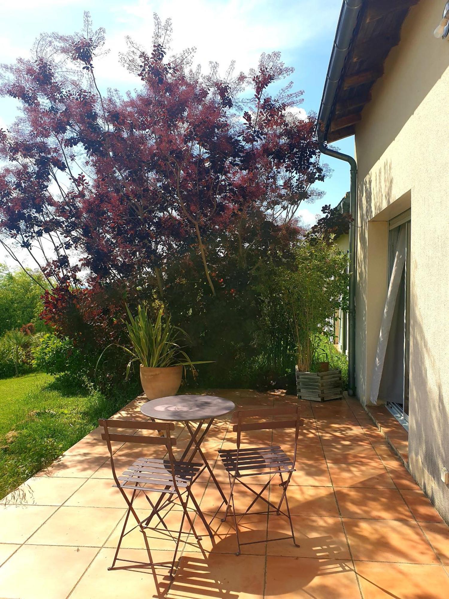 Maison Spacieuse Face Aux Pyrenees Carla-Bayle エクステリア 写真